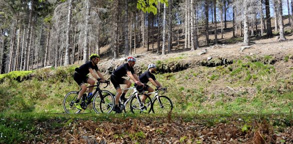 Mb e Bikelikealaker: slow riding sul mottarone