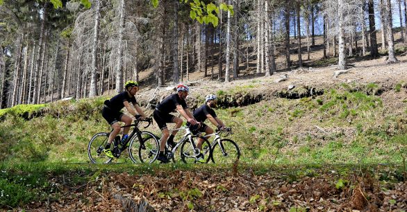Mb e Bikelikealaker: slow riding sul mottarone